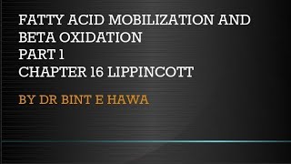 Beta oxidation of Fatty acids  Chapter 16 Biochemistry made easy by Dr Bint e Hawa [upl. by Adalai]