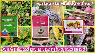 Curzate M8  Moximate  Cymoxanil 8  Mancozeb 64 Wp কোন রোগের জন্য ব্যবহার করবেন । [upl. by Valeda]