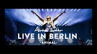 Alvaro Soler  Animal Live in Berlin [upl. by Priscella30]