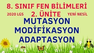 MUTASYON  MODİFİKASYON  ADAPTASYON  8 SINIF FEN BİLİMLERİ [upl. by Akedijn]