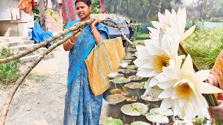 গোয়াল পুজোর জন্য মাঠে শাপলা তুলতে গেলামআখের বাগান থেকে দুটো বড়ো বড়ো আখ নিয়ে এলাম [upl. by Thgiwed]