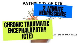 2Minute Neuroscience Chronic Traumatic Encephalopathy CTE [upl. by Mirielle]