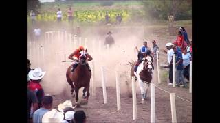 el pinto vs el mordullo [upl. by Doug]