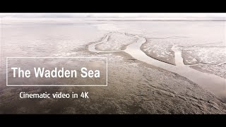 DJI MINI 2  Wadden Sea and seals  Waddenzee in cinematic video 4K [upl. by Cindi443]