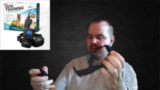 Review of PetTech RemoteControlled Dog Training Collar [upl. by Aimahs]