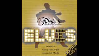 LUCA OLIVIERI – Tribute To Elvis Presley 2006 FULL ALBUM [upl. by Neiluj215]