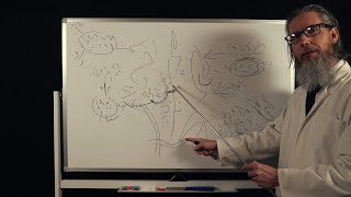 The Unintelligible Professors Lecture  ASMR [upl. by Ragan]