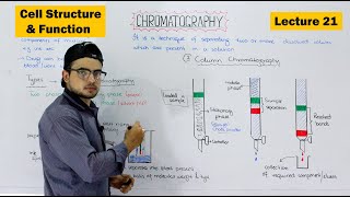 Chromatography and its types  Paper and Column Chromatography  Video 21 [upl. by Yvel]