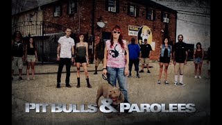 Pit Bulls amp Parolees new season clip Dogs Are Being Dumped at Villalobos [upl. by Ateinotna28]