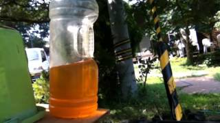 Harvesting Pure Worm Urine  could it be used as a way to fight off verroa mites SaveOurBees [upl. by Cogen]