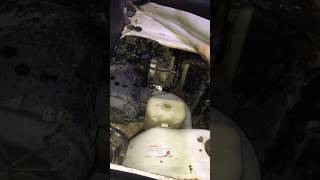 How to clean car engine short automobile [upl. by Aeel223]