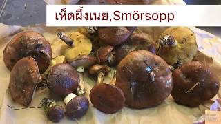 เห็ดผึ้งเนยSmörsoppเป็นยังไงทำไงกับเขาดีมารู้จักจ้า [upl. by Branscum]