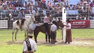 Internacional en pelo Domingo14 Criolla del Prado 2018 [upl. by Euqirne]