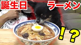 【誕生日】チクワの9歳をラーメンでお祝いしてあげたら可愛すぎた！！ [upl. by Ruhtracam901]