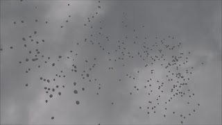 Funerali Amatrice palloncini bianchi in aria a fine funzione [upl. by Ecyla]