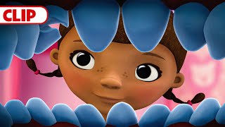 Lost and Found Land  Doc McStuffins  disneyjr [upl. by Mita]