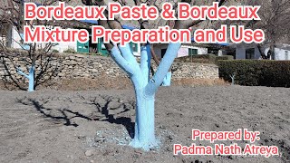 Bordeaux paste amp Bordeaux mixture preparation and useबोर्डो पेष्ट र बोर्डो मिश्रण तयारी तथा प्रयोग [upl. by Crosby]