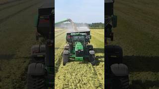 Harvesting rice in McGehee Arkansas johndeeere agriculture farming drone farm sunset deere [upl. by Nady631]