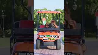 🐒🚗 Orangutan driving The Golf Cart Adventure🏌️⛳ [upl. by Izmar838]