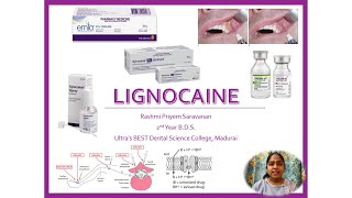 Lignocaine  Lidocaine  Actions  Mechanism  Pharmacokinetics  Uses  Adverse Effects  Toxicity [upl. by Geraldine]