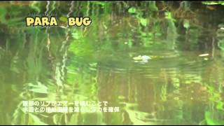 MEGABASS MOVIE 073 PARA BUG [upl. by Trometer973]