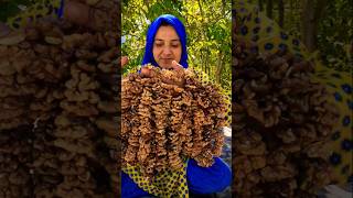 Famous Sweet  Northern Areas Pakistan  Village  Best Vlogs  Short [upl. by Margarete185]