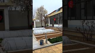 You reap what you sow The courtyard has different beauty in each season 新农人计划2023 [upl. by Cirtap410]