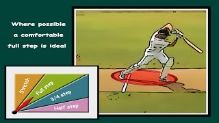 How to cricket batting tips 7 ways to increase power [upl. by Eirojram]