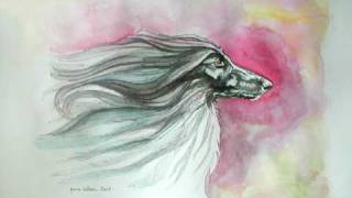 AFGHAN HOUND ART  Lynne Watson [upl. by Gerrilee]