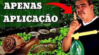 Como acabar com caramujo caracol e lesmas para sempre na sua horta [upl. by Neiviv]