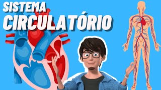 Sistema Circulatório ou Cardiovascular  Animação [upl. by Neelrahc]