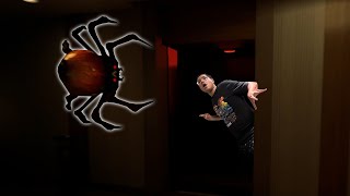 CUIDADO COM A ARANHA GIGANTE NA PORTA DO ELEVADOR CURSED PLACES  HOTEL FLOOR 13 [upl. by Alansen]