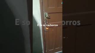 Morrendo de medo vlog umpoucodomeudia paz gratidão [upl. by Kaitlin838]