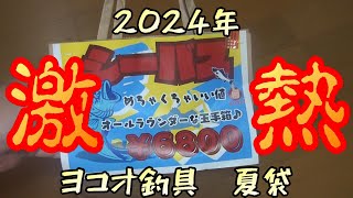 暑さに負けるな！ ヨコオ釣具夏袋2024 釣り 福袋 夏袋 ヨコオ釣具 シーバス ルアーフィッシング 夏鱸 釣り福袋 [upl. by Cristi]