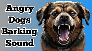 Dog Sound  Dog Barking  Dog Voice  Angry Dogs Barking Sound [upl. by Jarvey]