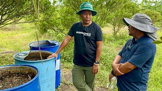 Dapat laging Open sa Ibatibang Technology sa Calamansi Farming at Orchard [upl. by Ayaros]