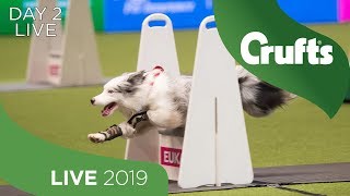 Day 2 LIVE  Crufts 2019 [upl. by Walls310]