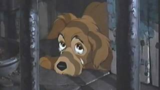 Disney ASPCA Commercial [upl. by Piscatelli]