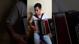 El petizo maceta🪗🎶🇦🇷 argentina musica corrientes chamame acordeon sanfoneiro [upl. by Avon954]