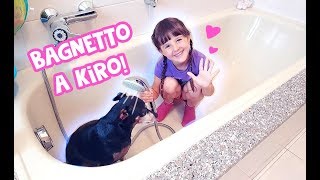 🐶💦Facciamo il bagnetto a Kiro 💦🐶 [upl. by Aihsemat]