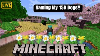 Naming my doggos on my minecraft serverLIVE [upl. by Gerfen]