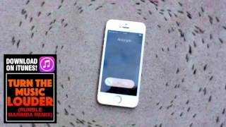 Ants circle iPhone ringing with cool marimba ringtone [upl. by Nnyla176]