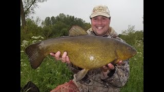 Tench fishing canals and lakes [upl. by Notlew768]