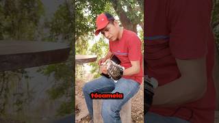 si sabes tocar guitarra humor guitarra macheterosvip [upl. by Imhskal]