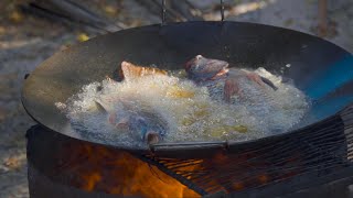 Mojarras Fritas al DISCO  Pesca y Cocina [upl. by Ainecey]