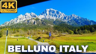 Driving from Belluno to Cortina Italy SS51 Road Italy [upl. by Redla]