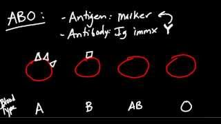 Blood Type ABO and Rh Made Simple [upl. by Artapoelc]