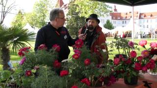 Gartentage Lindau 2012  Sind Pfingstrosen die besseren Rosen [upl. by Araf126]