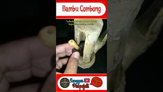 Bambu Combong Kentongan shortvideo mbolangbambuunik bambuunik combong sanggarpuspajati [upl. by Ariday948]