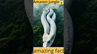 Amazon जंगल कैसे बना How was the Amazon rainforest formed sciencefacts shorts factyotubeshorts [upl. by Dasya]